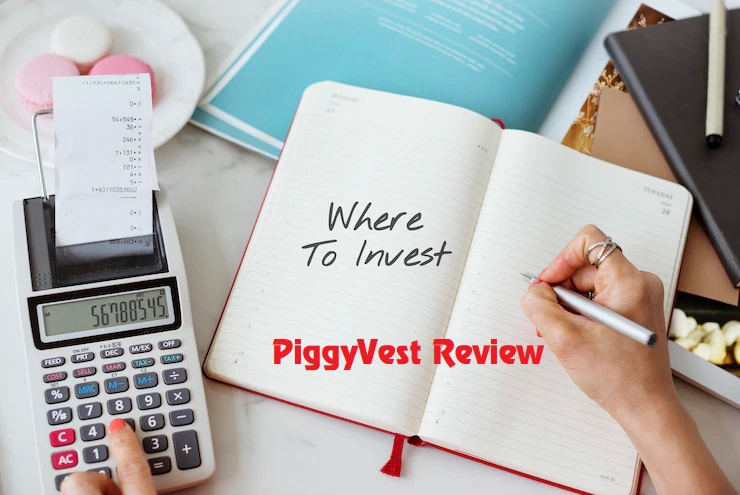 Complete Review Analysis on PiggyVest 2022