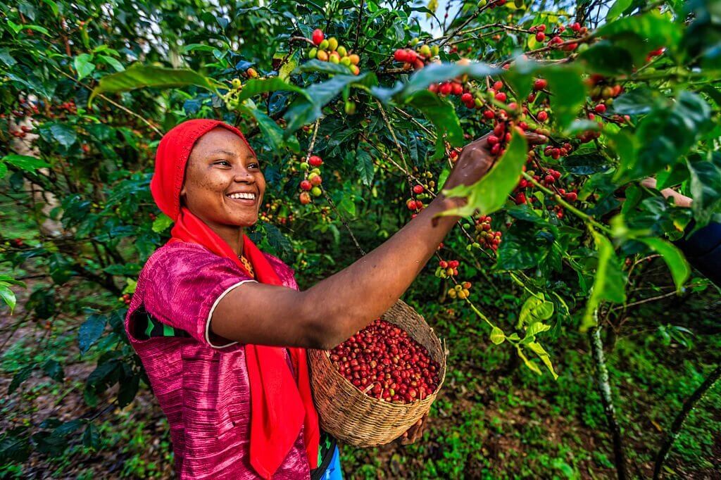 fruit picking jobs in canda with visa sponsorship